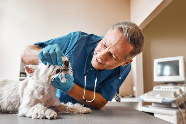 Best Emergency Root Canal Treatment in Swarthmore, PA